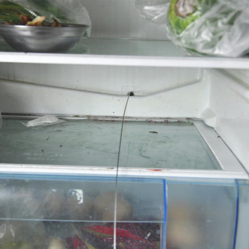 办公室冰柜如何日常保养 办公室冰柜日常保养方法介绍