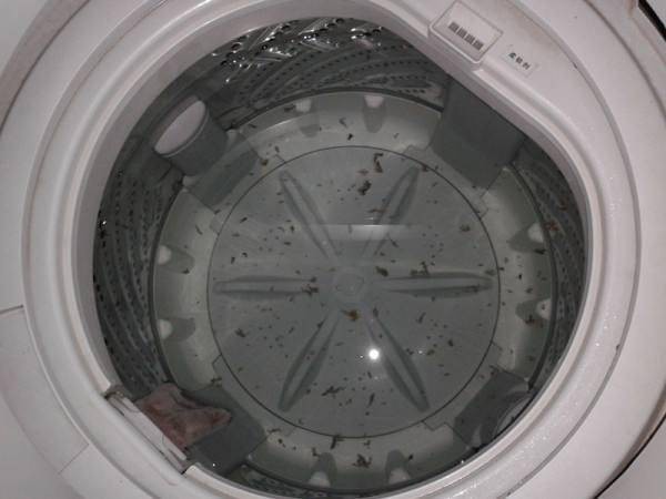 怎样清洗半自动洗衣机  半自动洗衣机如何维护保养